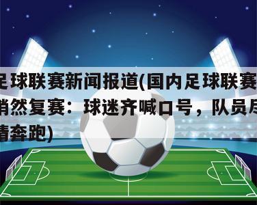 足球联赛新闻报道(国内足球联赛悄然复赛：球迷齐喊口号，队员尽情奔跑)