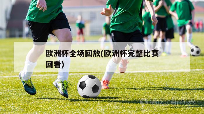 欧洲杯全场回放(欧洲杯完整比赛回看)