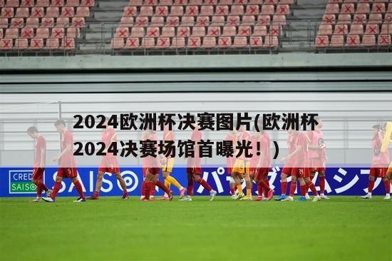 2024欧洲杯决赛图片(欧洲杯2024决赛场馆首曝光！)